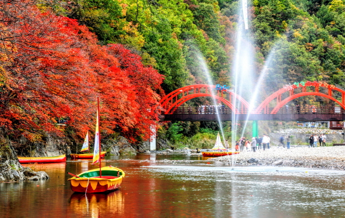 철암단풍군락지