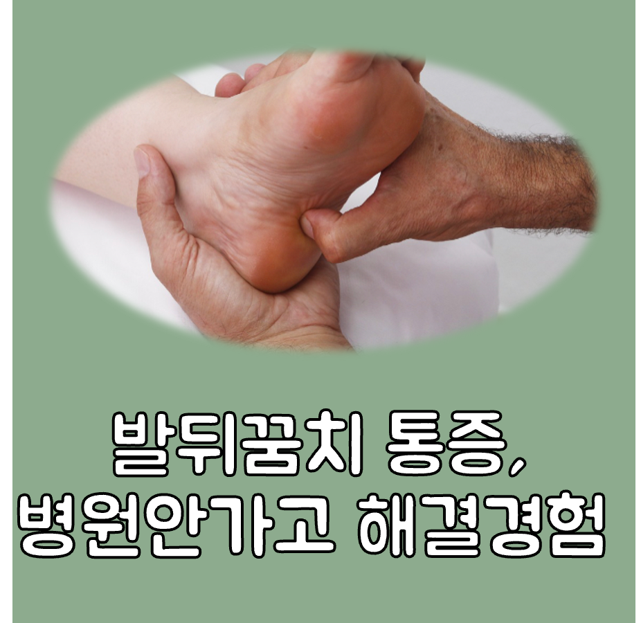 발뒤꿈치가 아픈 이유 대표이미지