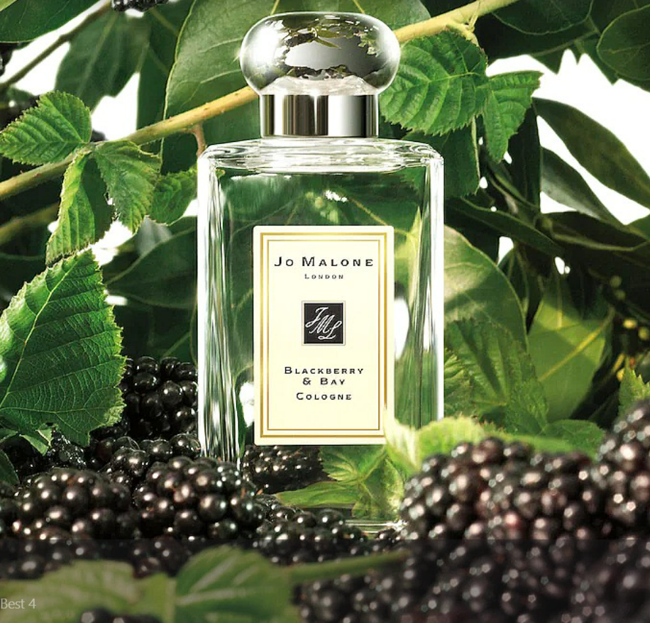 크리스마스 선물 향수