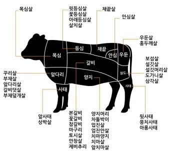 맛있는 국내산 소고기 부위 명칭 특징 조리방식_5