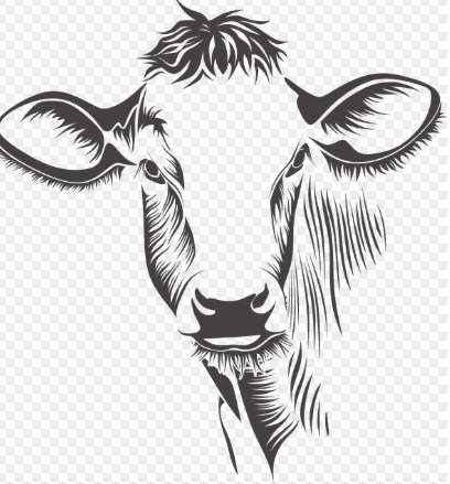 2026년 소띠 신년운세 무료보기