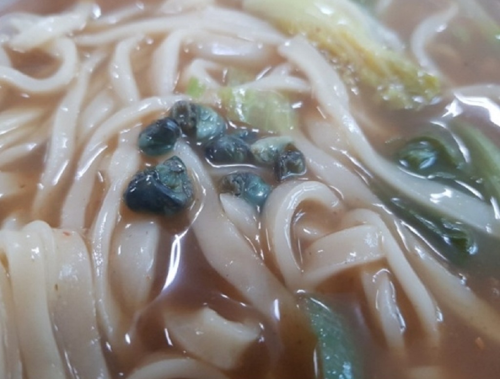 백반기행-횡성-다슬기칼국수-이모네칼국수