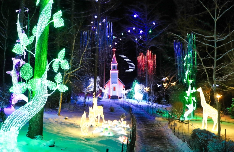 오색별빛정원전