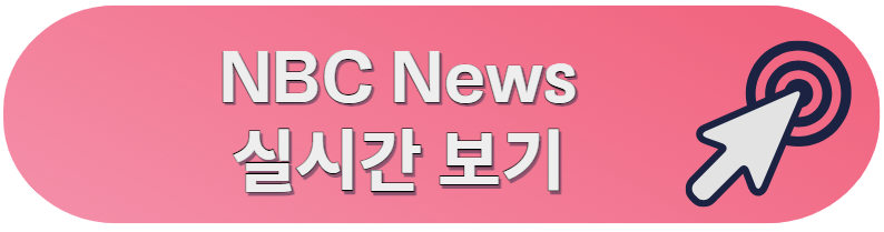 미국 뉴스 실시간 보기