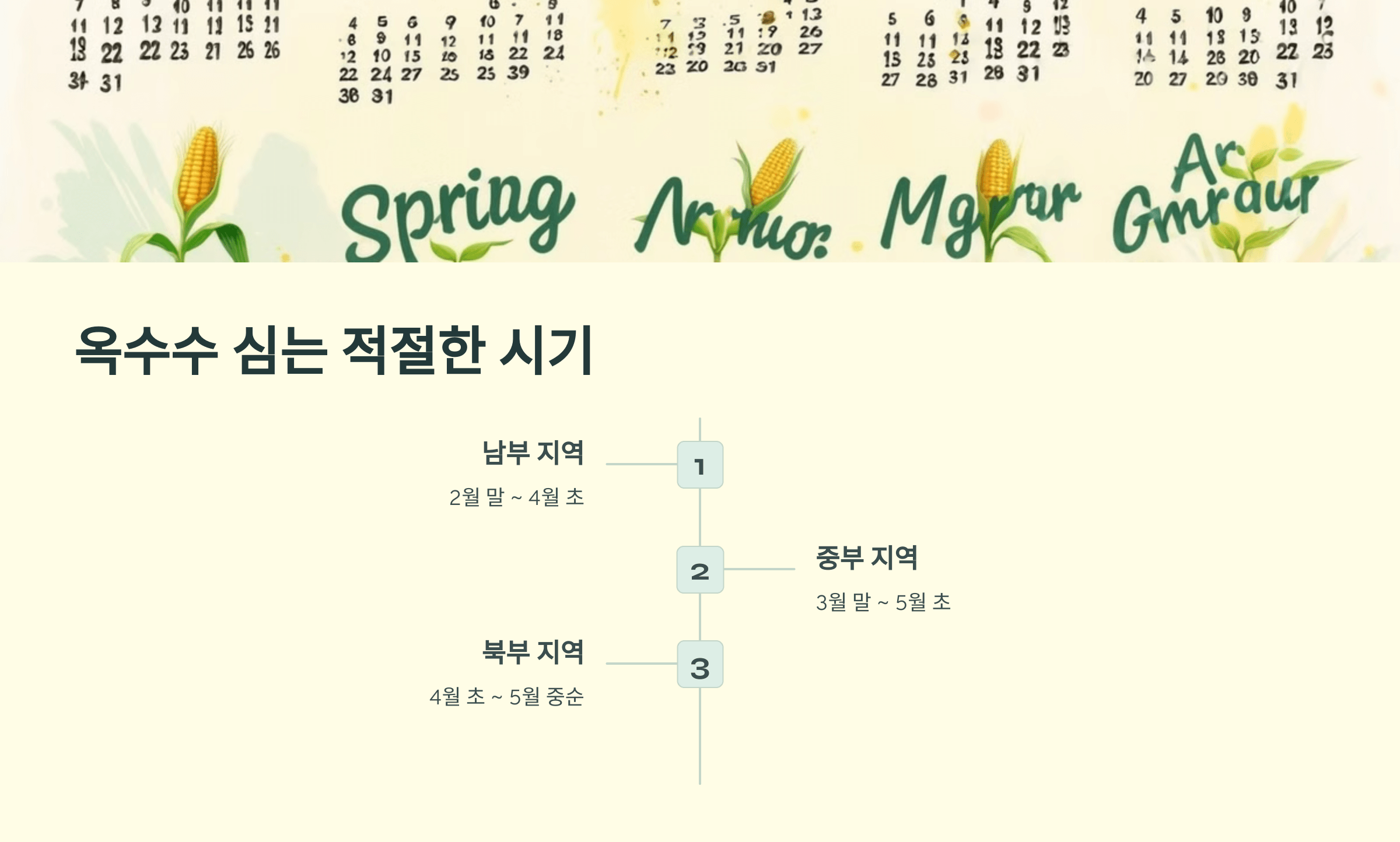 옥수수 사진입니다.