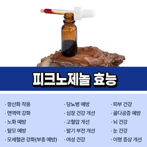 피크노제놀_효능