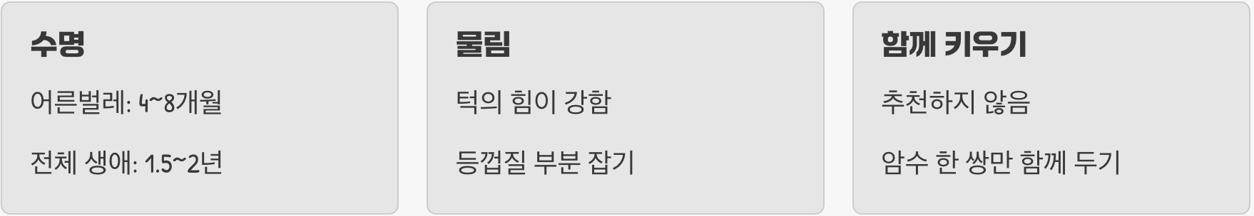 다우리아사슴벌레 키우기 방법부터 먹이, 사육장 세팅까지 완벽 가이드