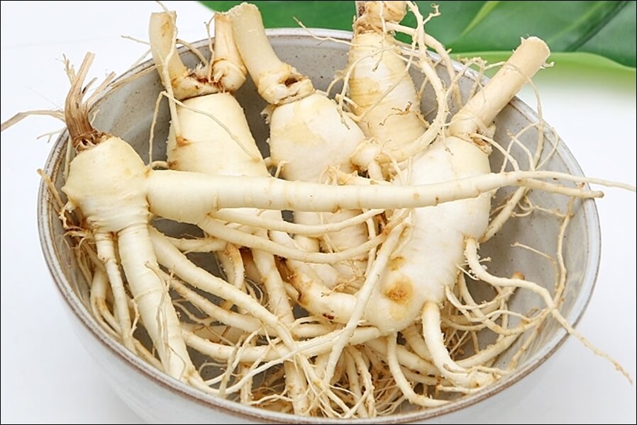 광동 경옥고 가격 및 실제후기