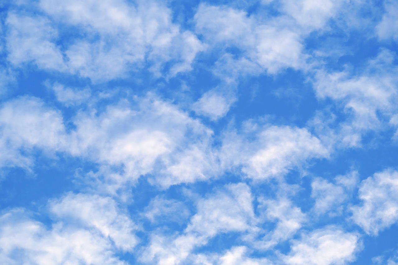 2026 설 명절 정부 농축산물 최대 40% 할인 혜택 및 사용법