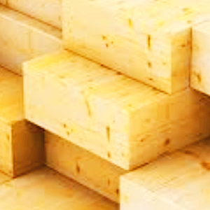 목재 관련주 대장주 테마주 TOP5 주식