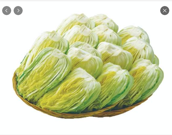 2025년 김장준비! 절임배추 예약하는 방법, 할인, 배송하는 방법