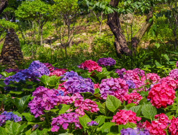 온누리상품권 가맹점 1분만에 찾기