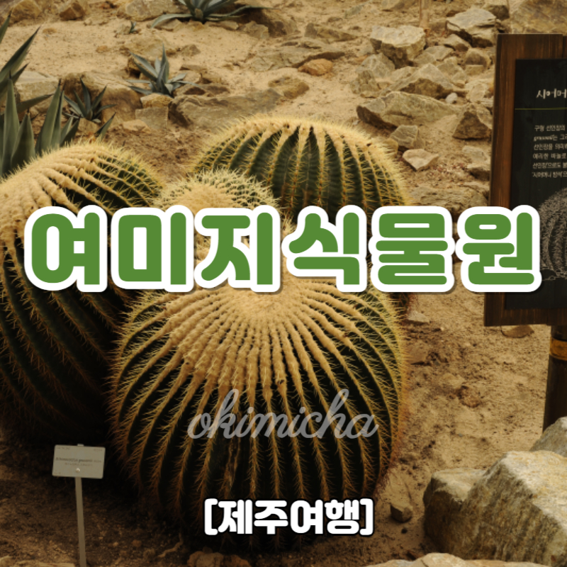 제주여행_여미지식물원
