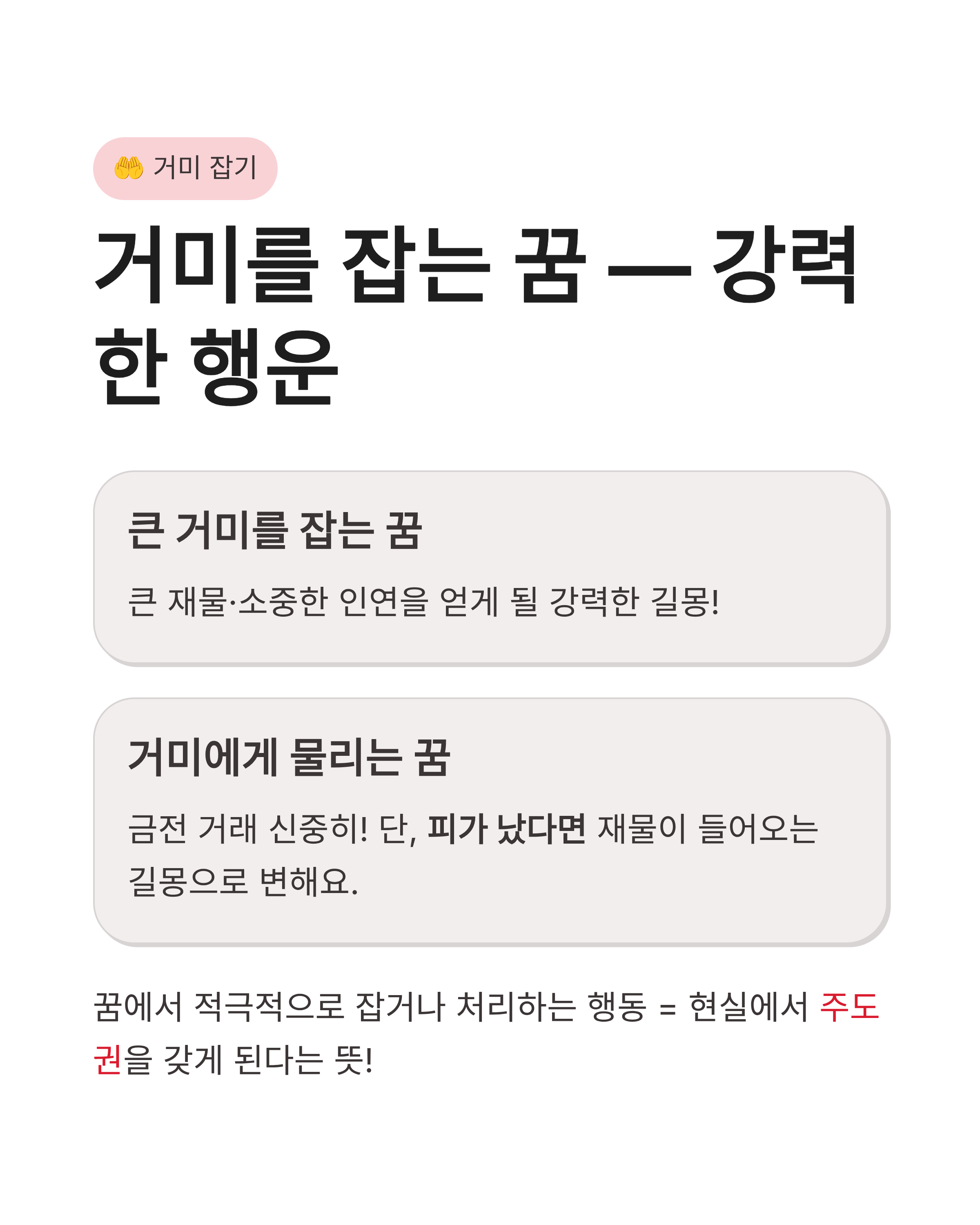 거미꿈 해몽, 왕거미부터 거미줄까지! 재물운과 태몽의 비밀은 무엇일까요?