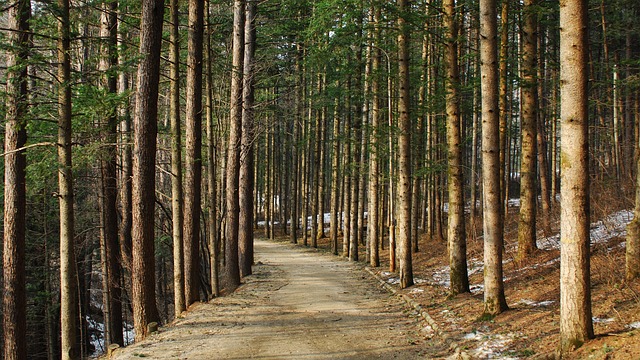 2025 국내 여행지 추천 BEST 7