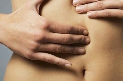 편안한 위장이 건강한 하루를 만듭니다 – 소화력 회복 루틴