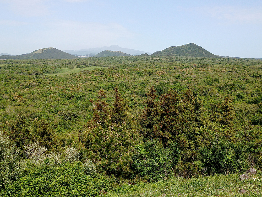 올레길 14-1코스: 문도지오름