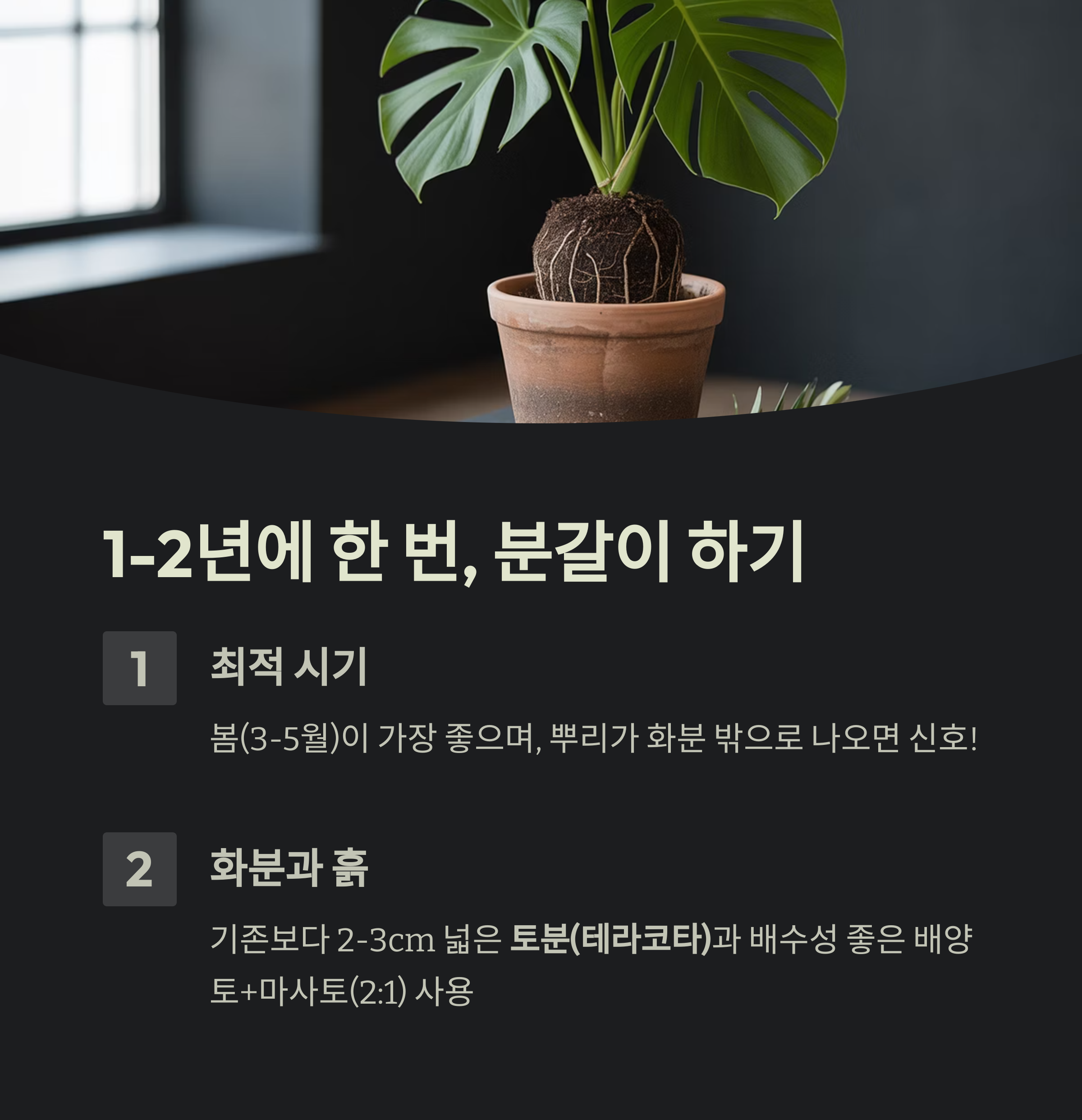 분갈이는 1~2년에 한 번, 뿌리 상태를 확인하며