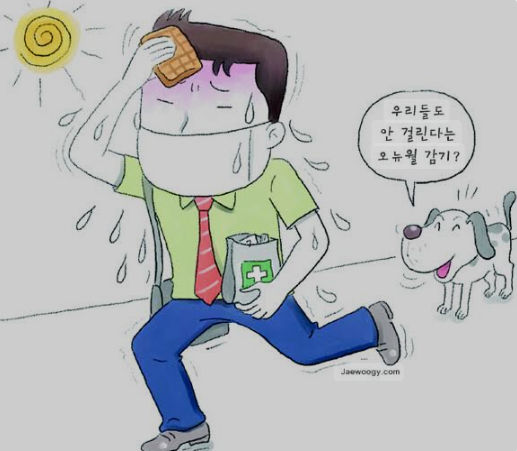 에어컨감기 &amp; 여름감기