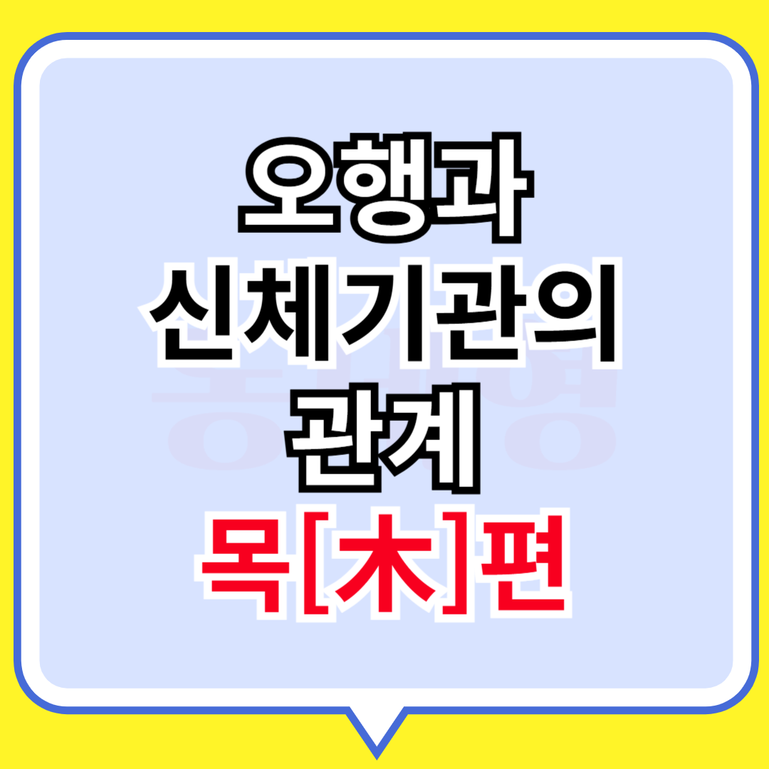 오행과 신체기관의 관계-목편