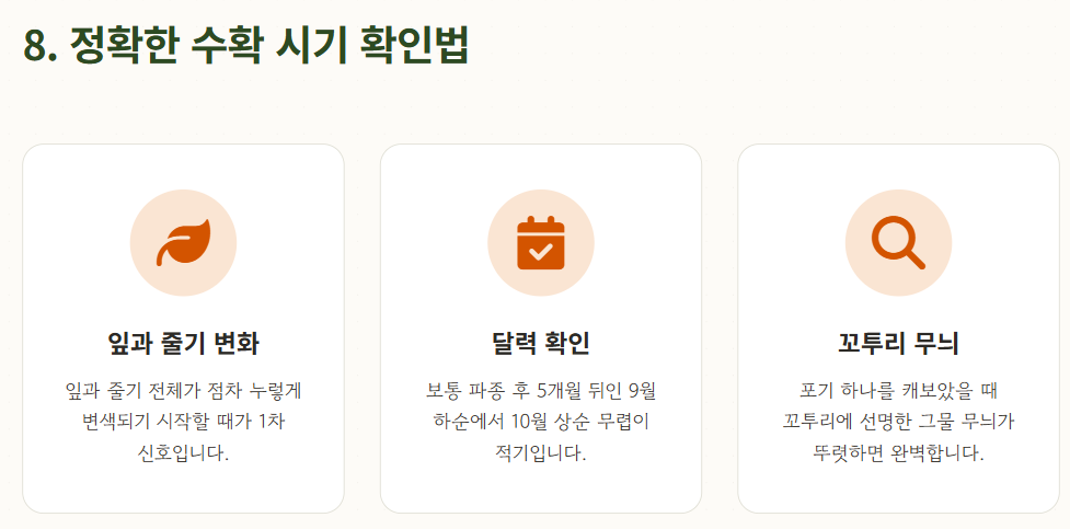 땅콩 심는시기