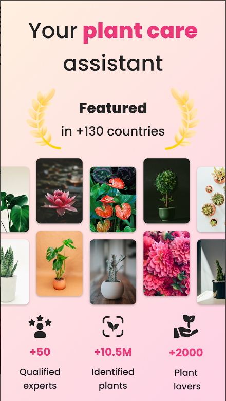 식물이름 찾기 어플, 식물 사진 찍어 찾기