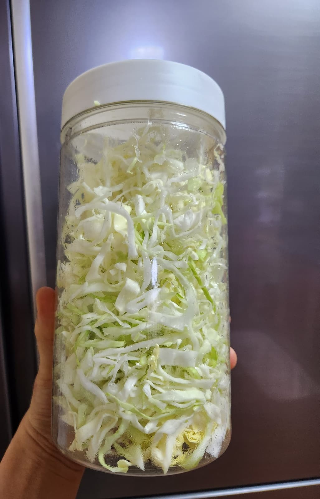 힘빠진 양배추요리