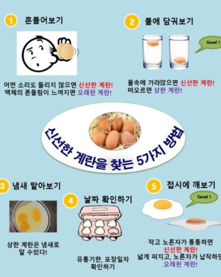 신선한-계란-고르는-법