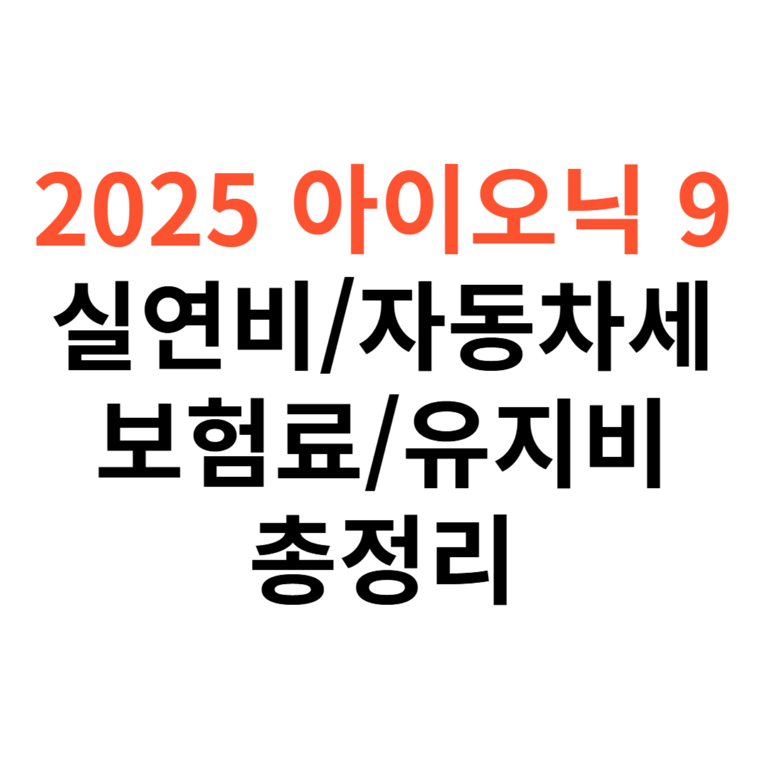아이오닉 9 차량 실연비