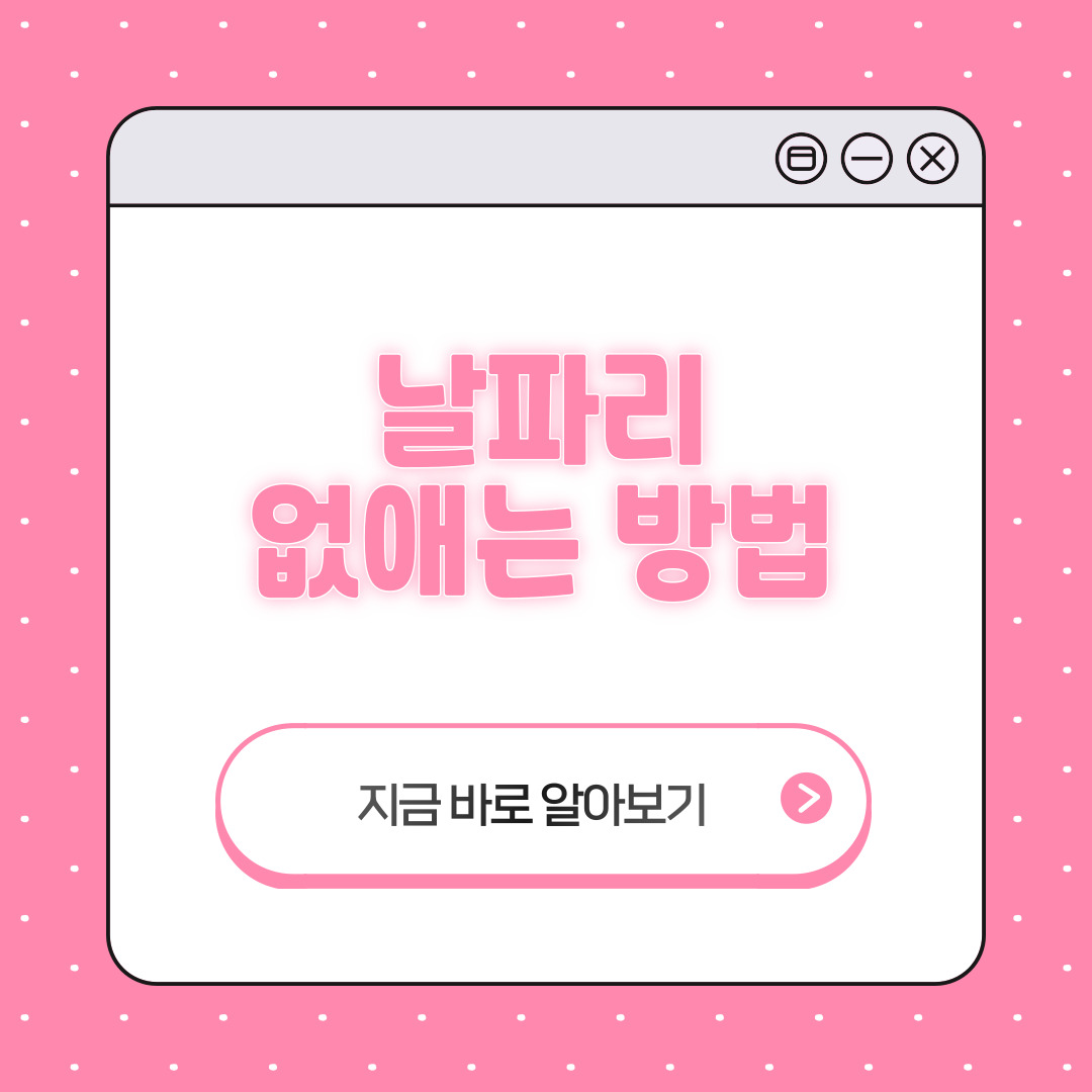 집 날파리 없애는 방법