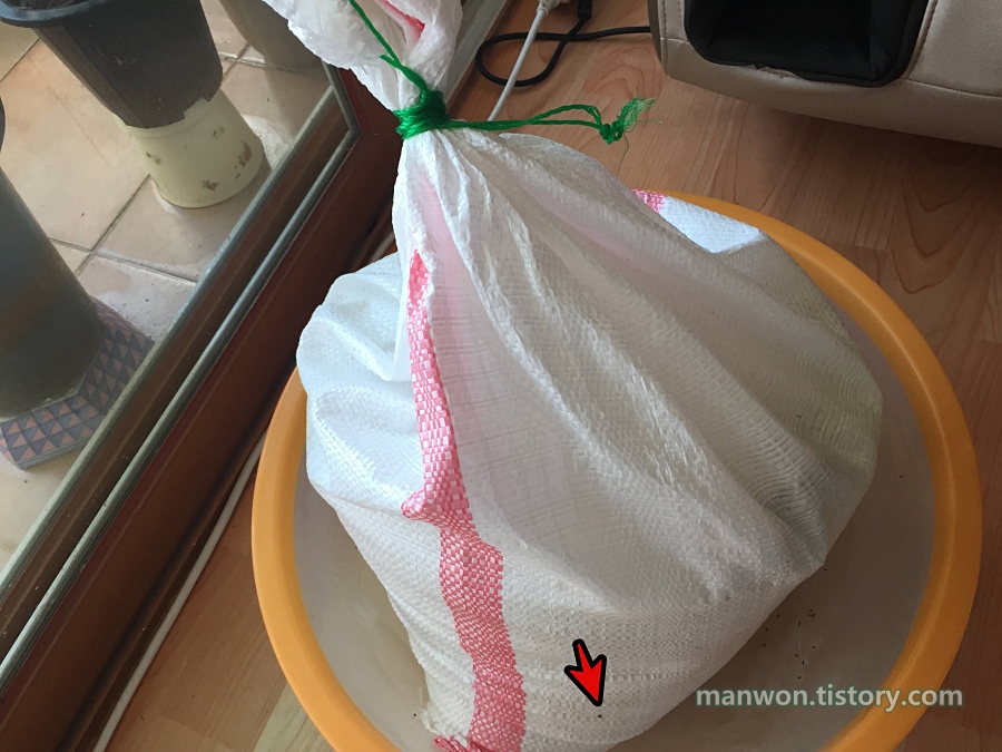 덥고 습한 환경이라 이 쌀가마니 안에서 쌀벌레가 생겼다