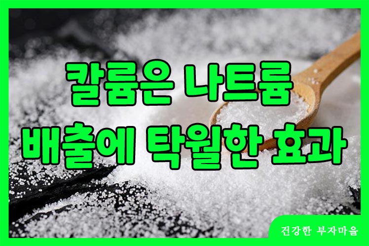 칼륨이 많은 음식 - 나트륨 제거 효과