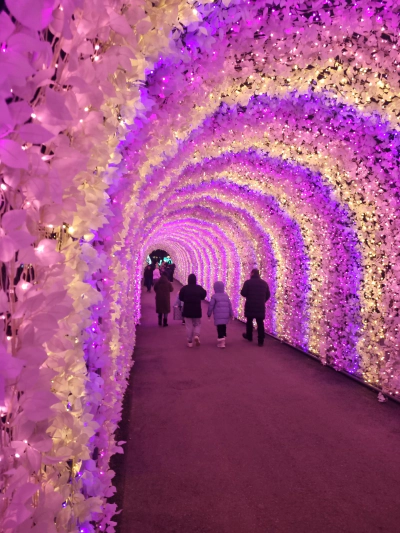 가평 아침고요수목원 빛축제 가족여행 후기