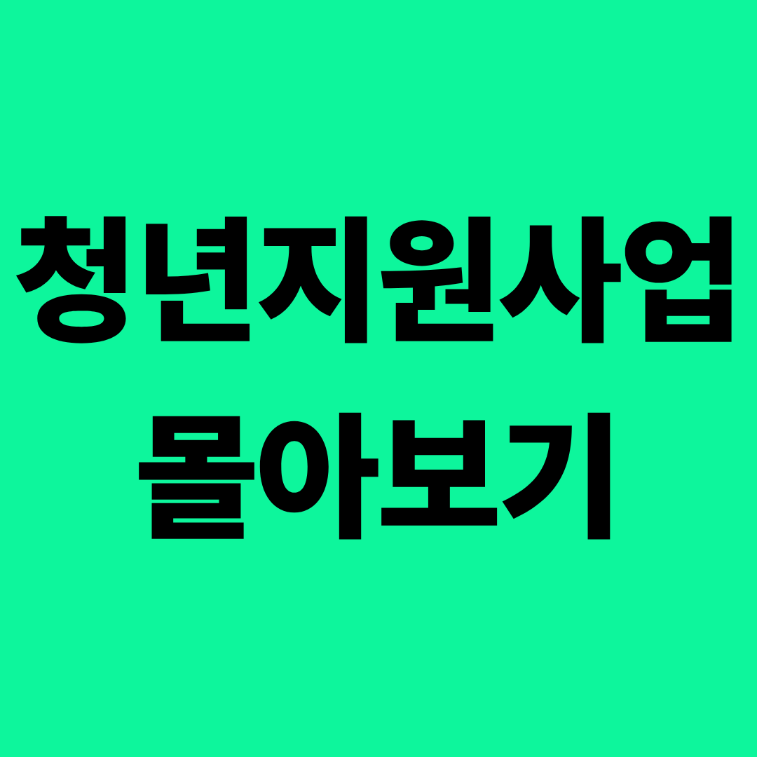 청년 지원사업 총정리 &ndash; 월세&middot;자격증&middot;금융&middot;교육 한눈에