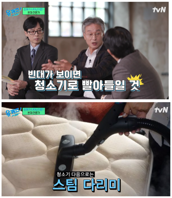 빈대의 특성과 퇴치하는 방법