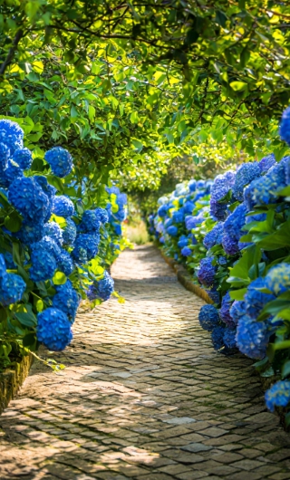 6월 가볼만한 곳, 유명한 지역 전국 축제 행사 일정 (2025년 최신)