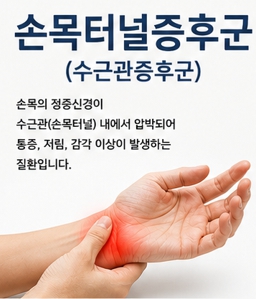 손목 골절