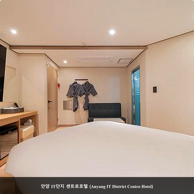 안양 IT단지 센트로호텔 (Anyang IT District Centro Hotel)_4