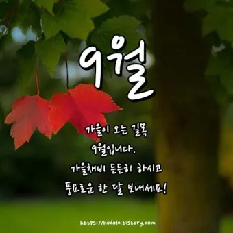 9월 인사말 모음 예시 문자_14