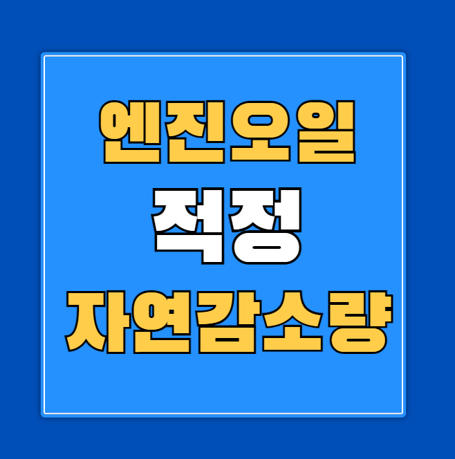 엔진오일 자연 적정 감소량