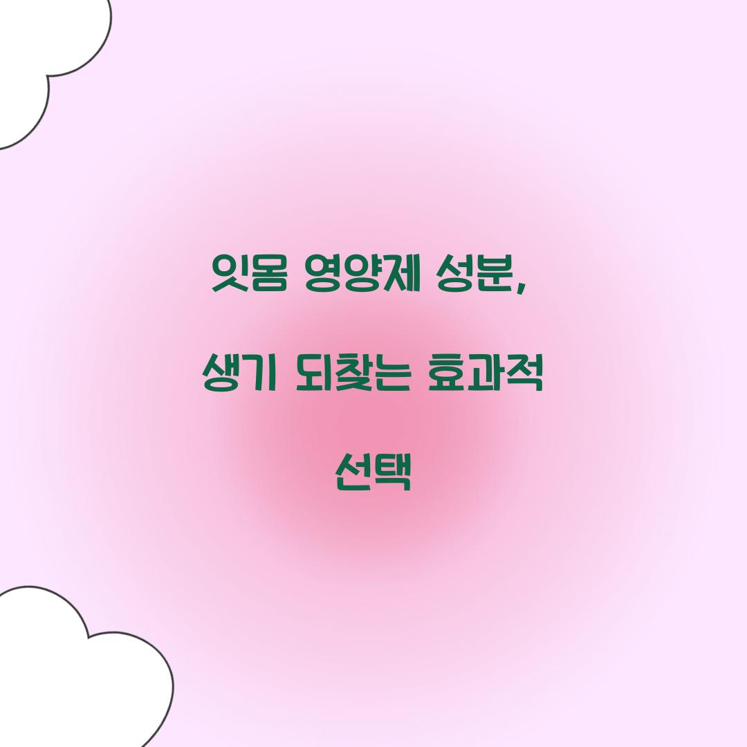 잇몸 영양제 성분