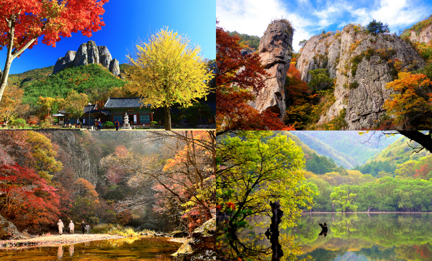 주왕산 단풍절정시기