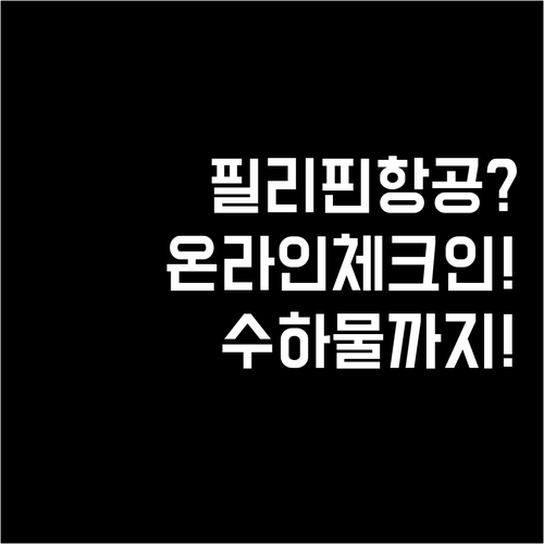 필리핀항공 온라인체크인부터 수하물까지..