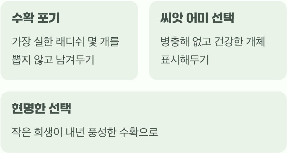 씨앗을 위한 위대한 희생
