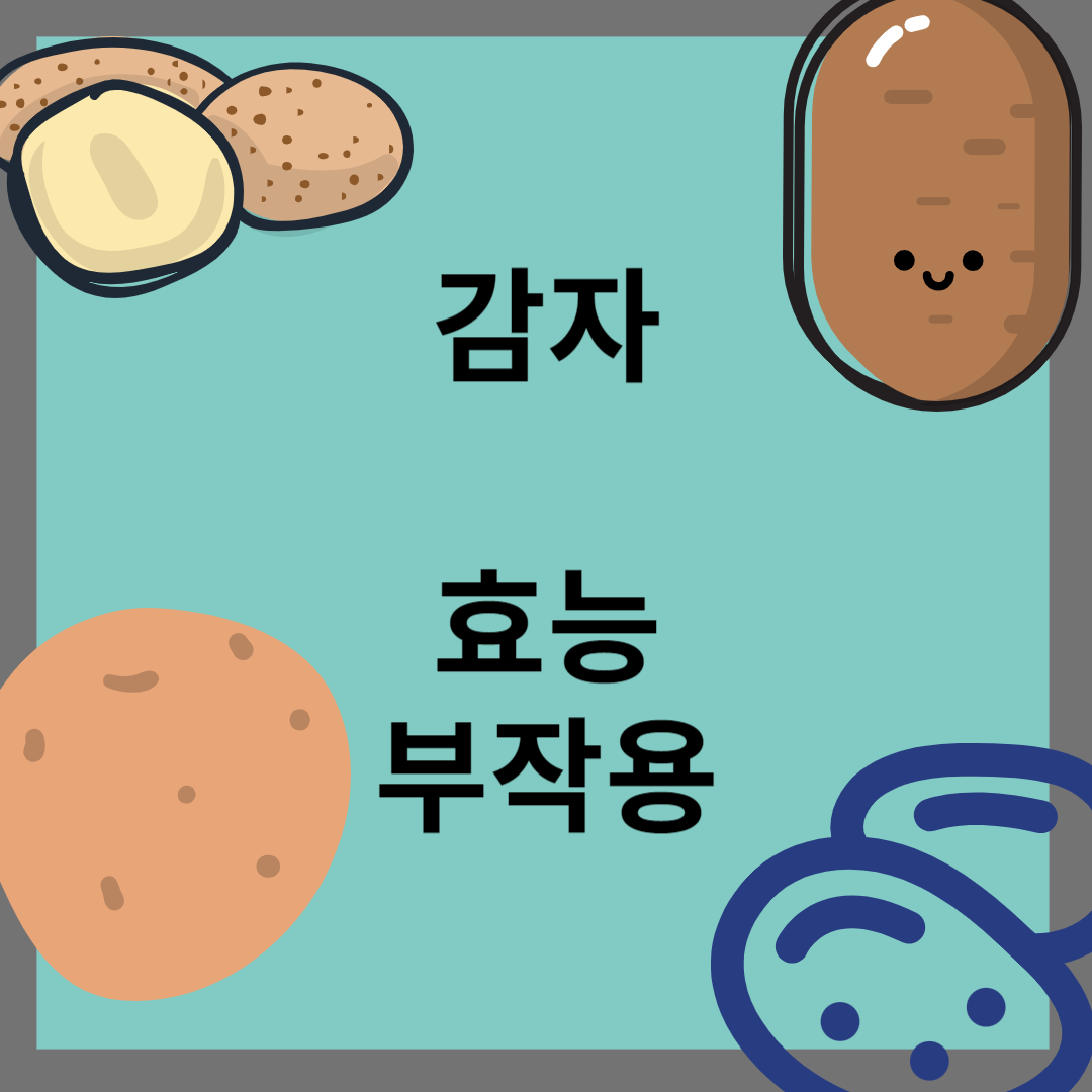 감자 효능 부작용