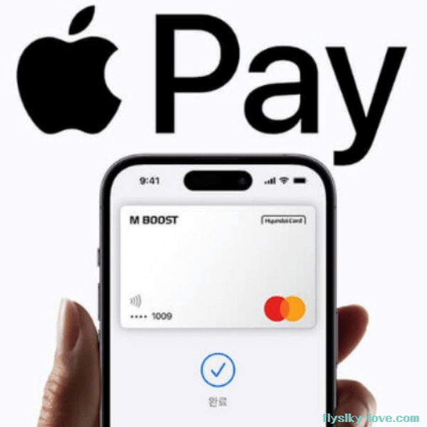 애플페이 티머니