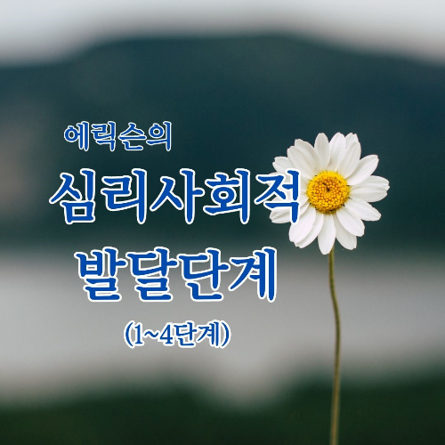 심리사회적 발달단계
