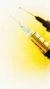 2023~2024년 코로나19 무료 백신 동시 접종