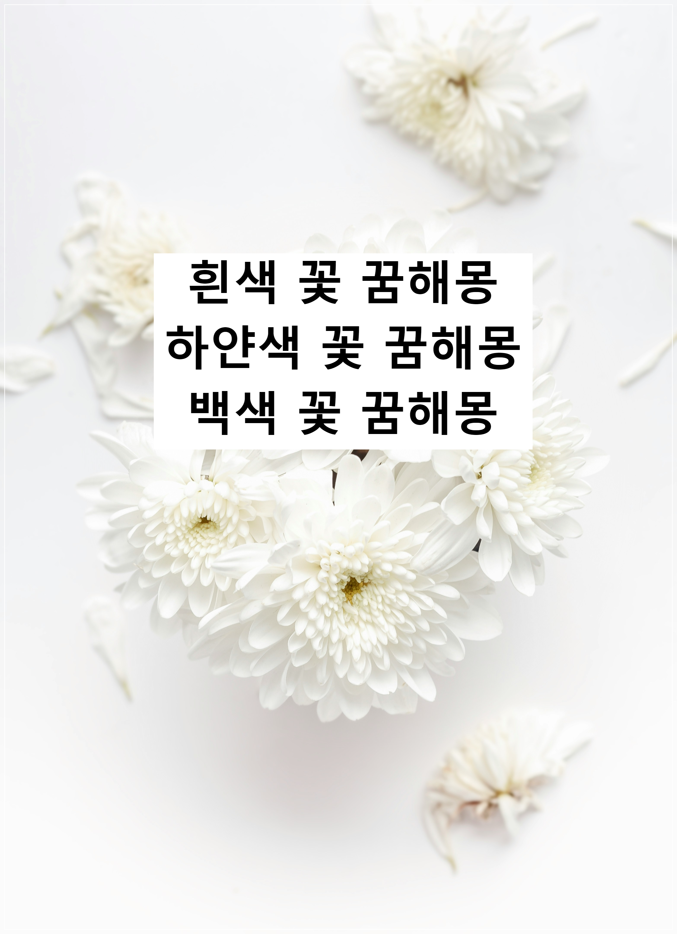 흰색 꽃 꿈해몽, 하얀색 꽃 꿈해몽, 백색 꽃 꿈해몽