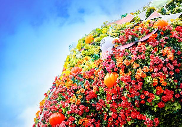 에버랜드 연간회원권